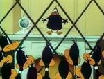 Watch Cracked Quack (Short 1952) Vumoo