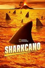 Watch Sharkcano (TV Special 2020) Vumoo