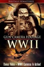 Watch Gun Camera Footage WWII Vumoo