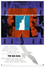 Watch The Sea Gull Vumoo