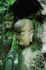 Watch The Thousand Years Old Man (  ) Vumoo