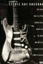 Watch A Tribute to Stevie Ray Vaughan Vumoo