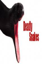 Watch National Geographic Wild Deadly Snakes Vumoo