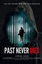 Watch The Past Never Dies Vumoo