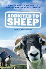 Watch Addicted to Sheep Vumoo