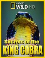 Watch Secrets of the King Cobra Vumoo