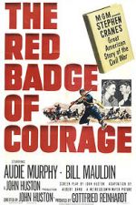 Watch The Red Badge of Courage Vumoo