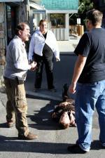 Watch Dead Stop Vumoo