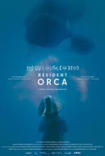 Watch Resident Orca Vumoo