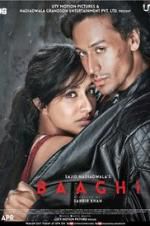 Watch Baaghi Vumoo