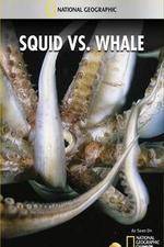Watch National Geographic Wild - Squid Vs Whale Vumoo