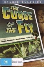 Watch Curse of the Fly Vumoo