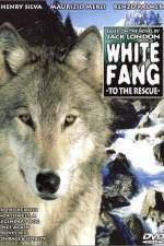 Watch Zanna bianca alla riscossa Vumoo