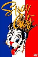 Watch Stray Cats Rock Paris Vumoo