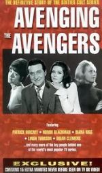 Watch Avenging the Avengers Vumoo