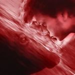 Watch We All Poop: All the Blood Vumoo