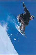 Watch The Art of Flight Vumoo