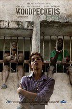 Watch Woodpeckers Vumoo