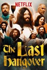 Watch The Last Hangover Vumoo