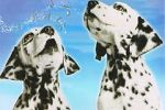 Watch 101 Dalmatians Sing Along Vumoo