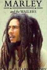 Watch Caribbean Nights Vumoo