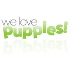Watch We Love Puppies Vumoo