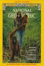 Watch Search for the Great Apes Vumoo