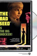 Watch The Bad Seed Vumoo