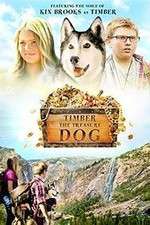Watch Timber the Treasure Dog Vumoo