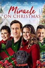 Watch Miracle on Christmas Vumoo