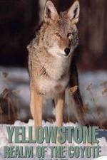 Watch Yellowstone: Realm of the Coyote Vumoo