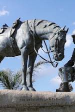 Watch War Horse: The Real Story Vumoo