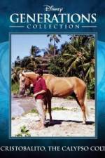 Watch Cristobalito the Calypso Colt Vumoo