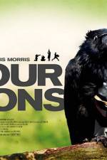Watch Four Lions Vumoo