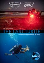 Watch The Last Turtle (Short 2019) Vumoo