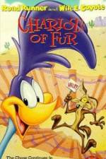 Watch Ready Woolen and Able Vumoo