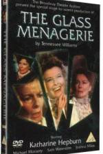 Watch The Glass Menagerie Vumoo