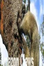 Watch National Geographic Wild Amazon Claws Vumoo
