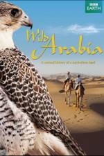 Watch Wild Arabia Vumoo