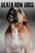 Watch Death Row Dogs Vumoo