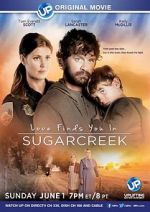 Watch Love Finds You in Sugarcreek Vumoo