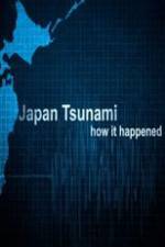 Watch Japan Tsunami: How It Happened Vumoo
