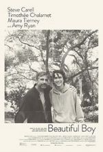 Watch Beautiful Boy Vumoo