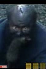 Watch The Legend of Catman Vumoo