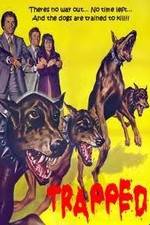 Watch Trapped Vumoo