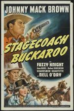 Watch Stagecoach Buckaroo Vumoo