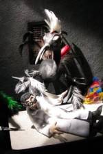 Watch Ornithology Vumoo