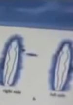 Watch Quantum Communication Vumoo