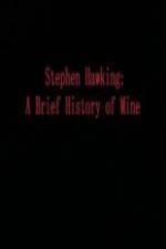 Watch Stephen Hawking A Brief History of Mine Vumoo