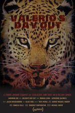 Watch Valerio\'s Day Out (Short 2019) Vumoo